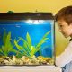 Aquarium : Trois astuces pour bien choisir le vôtre !